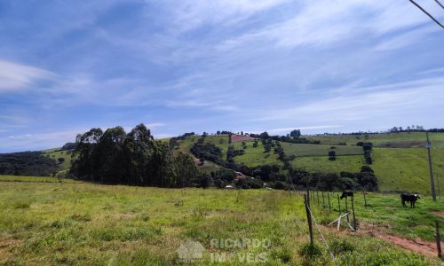 Terreno Fundo da Mata 19 ha (28)