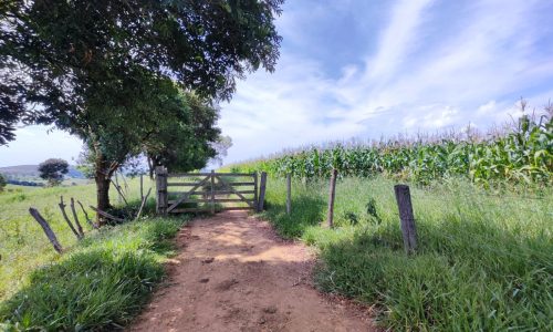 Terreno Fundo da Mata 19 ha (3)