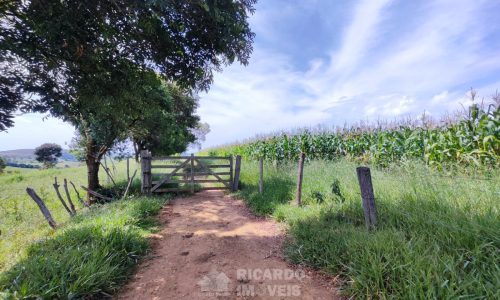 Terreno Fundo da Mata 19 ha (3)