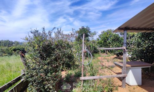 Terreno Fundo da Mata 19 ha (31)