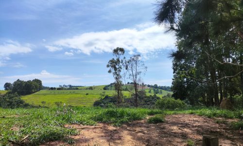 Terreno Fundo da Mata 19 ha (5)