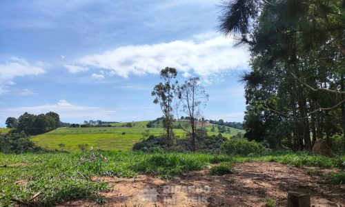 Terreno Fundo da Mata 19 ha (5)