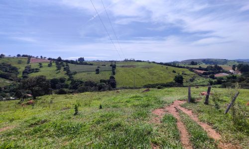 Terreno Fundo da Mata 19 ha (6)