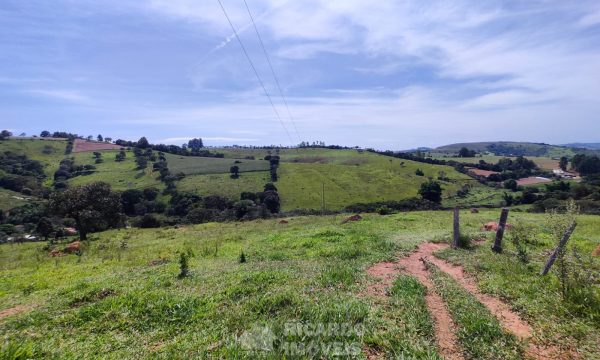 Terreno Fundo da Mata 19 ha (6)
