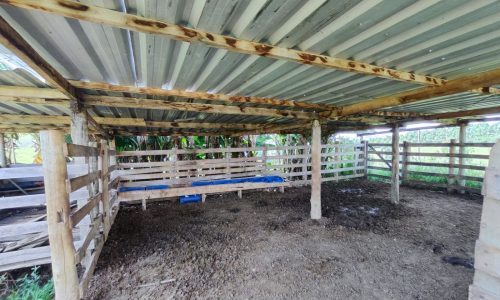 Terreno Fundo da Mata 19 ha (7)