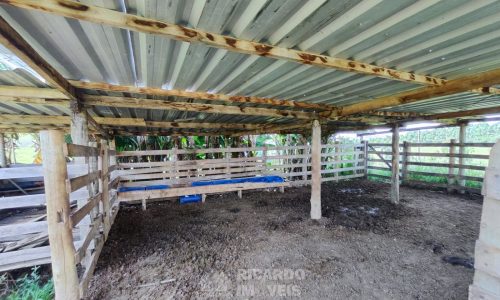 Terreno Fundo da Mata 19 ha (7)