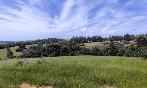 Terreno Fundo da Mata 19 ha (9)