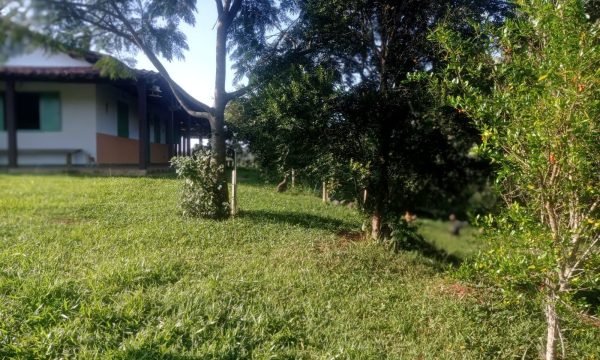 Terreno Renato (3)