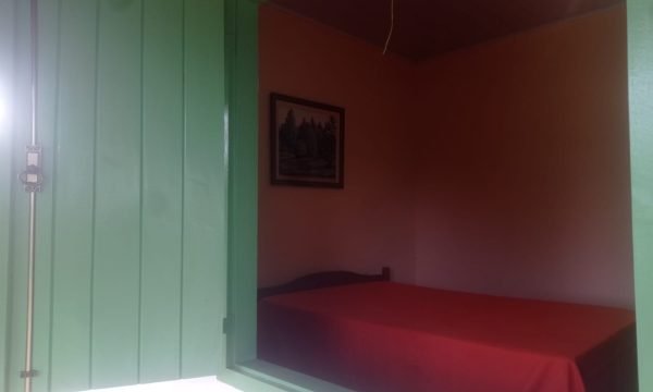 Terreno Renato (9)