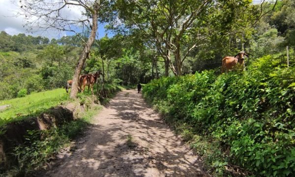 Terreno Rural Ostinho Pinga (12)