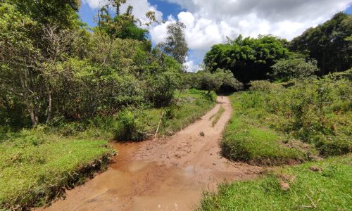 Terreno Rural Ostinho Pinga (13)