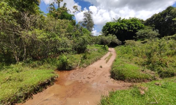 Terreno Rural Ostinho Pinga (13)
