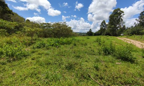 Terreno Rural Ostinho Pinga (14)