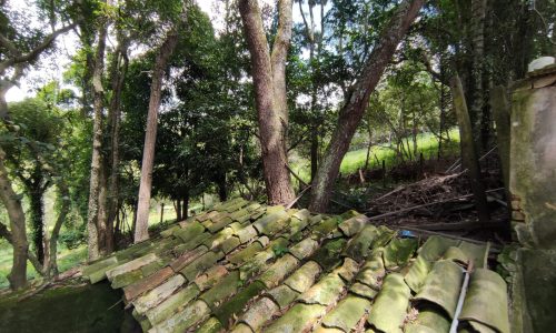 Terreno Rural Ostinho Pinga (18)
