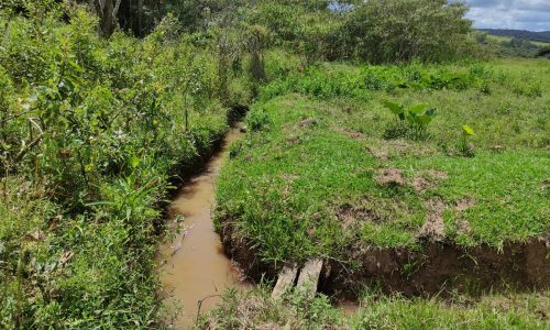 Terreno Rural Ostinho Pinga (2)