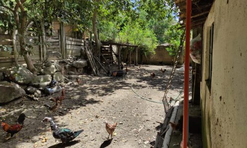 Terreno Rural Ostinho Pinga (22)