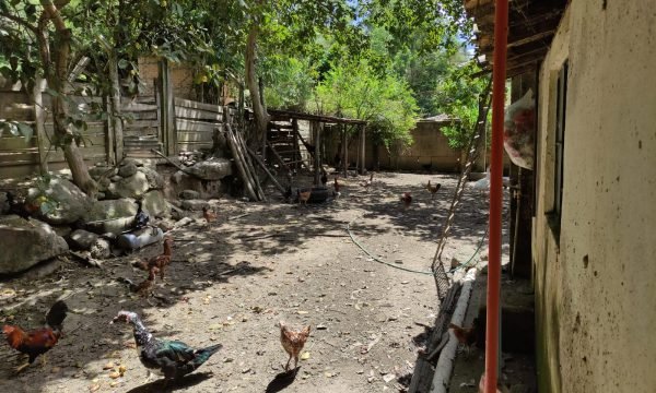Terreno Rural Ostinho Pinga (22)