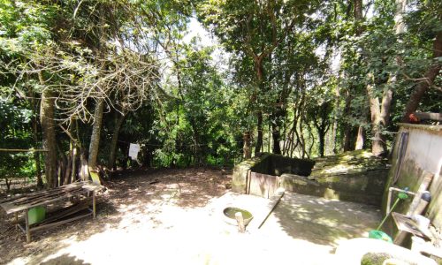 Terreno Rural Ostinho Pinga (26)