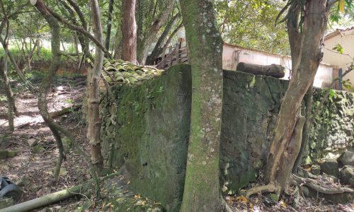 Terreno Rural Ostinho Pinga (28)