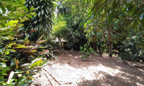 Terreno Rural Ostinho Pinga (29)