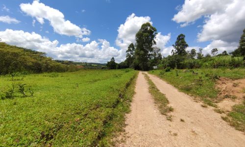 Terreno Rural Ostinho Pinga (3)