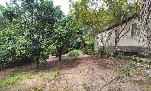 Terreno Rural Ostinho Pinga (33)