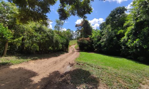 Terreno Rural Ostinho Pinga (35)