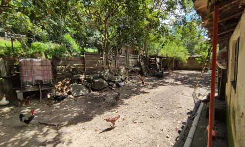 Terreno Rural Ostinho Pinga (36)