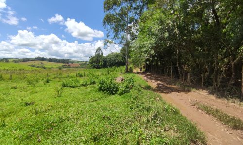 Terreno Rural Ostinho Pinga (4)