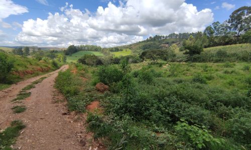 Terreno Rural Ostinho Pinga (40)