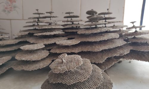 Terreno Rural Ostinho Pinga (41)