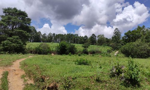 Terreno Rural Ostinho Pinga (44)