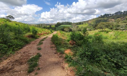 Terreno Rural Ostinho Pinga (45)