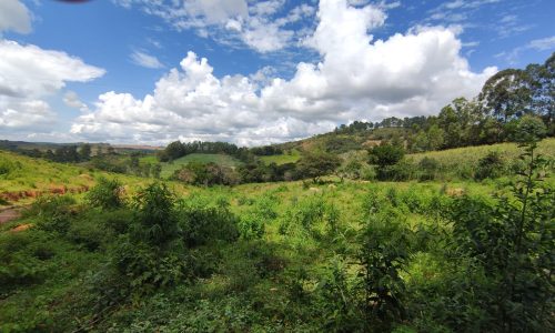 Terreno Rural Ostinho Pinga (46)