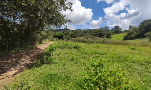 Terreno Rural Ostinho Pinga (5)
