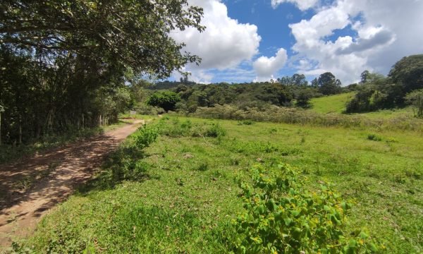 Terreno Rural Ostinho Pinga (5)