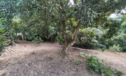 Terreno Rural Ostinho Pinga (51)