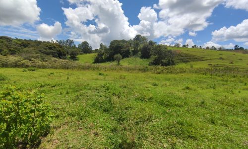 Terreno Rural Ostinho Pinga (6)