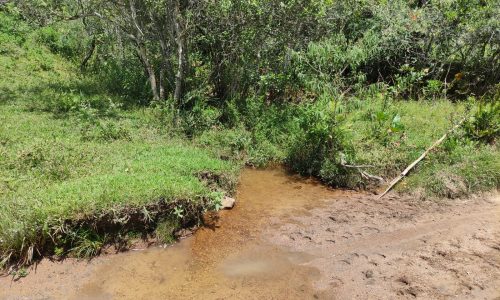 Terreno Rural Ostinho Pinga (7)