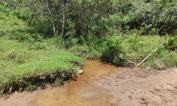 Terreno Rural Ostinho Pinga (7)