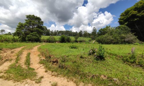 Terreno Rural Ostinho Pinga (8)