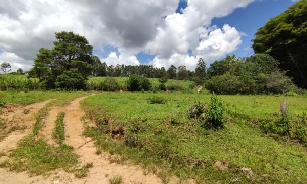 Terreno Rural Ostinho Pinga (8)