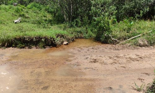 Terreno Rural Ostinho Pinga (9)