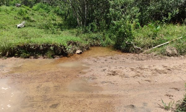 Terreno Rural Ostinho Pinga (9)