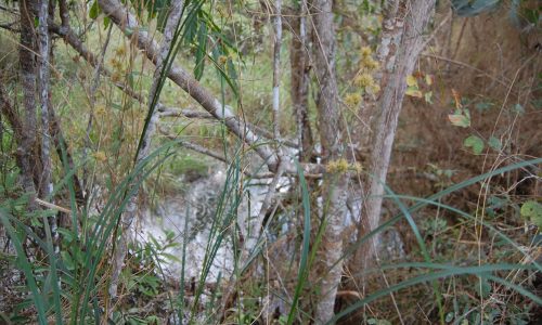 Terreno Rural de Otimo açesso (59)