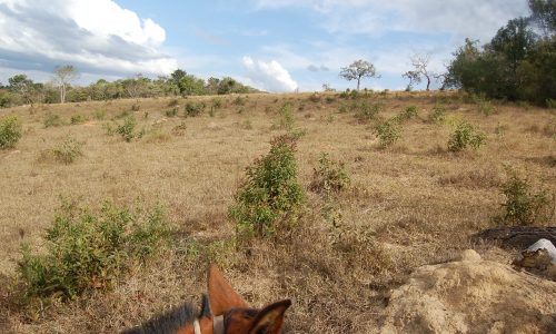 Terreno Rural de Otimo asseso (18)