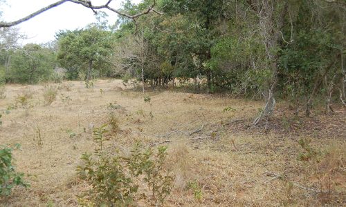 Terreno Rural de Otimo asseso (19)