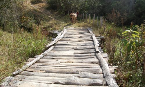 Terreno Rural de Otimo asseso (2)