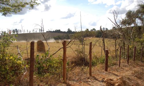 Terreno Rural de Otimo asseso (23)