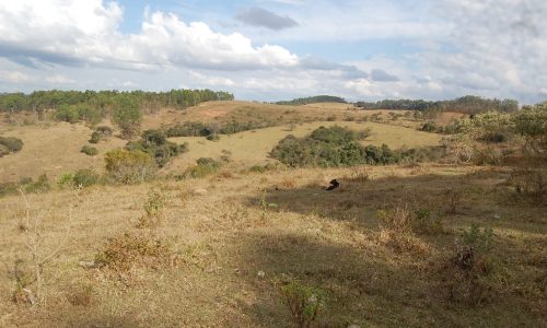 Terreno Rural de Otimo asseso (24)